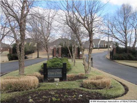 1295 Cross Creek Cv, Hernando, MS 38632 photo 14