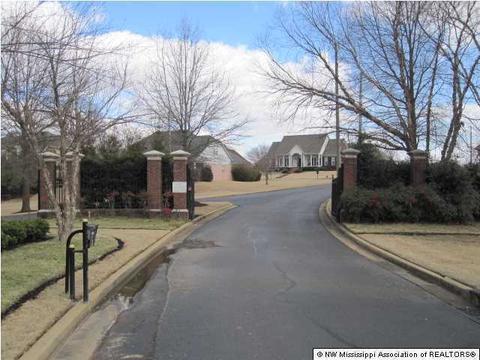 1295 Cross Creek Cv, Hernando, MS 38632 photo 15