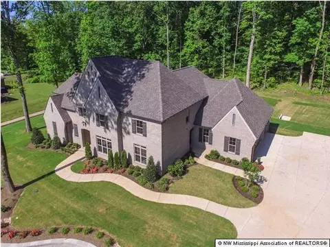 1823 Atticus Ln, Nesbit, MS 38651 photo 29