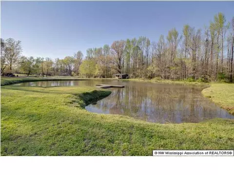 4750 Austin Rd, Nesbit, MS 38651 photo 5