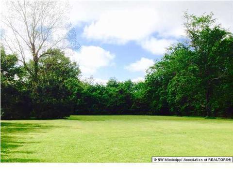 105 Robinson, Como, MS 38619 photo 13
