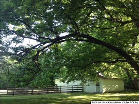 105 Robinson, Como, MS 38619 photo 12