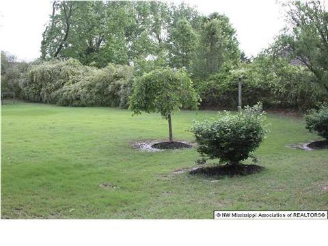 636 Fairway Dr, Hernando, MS 38632 photo 25