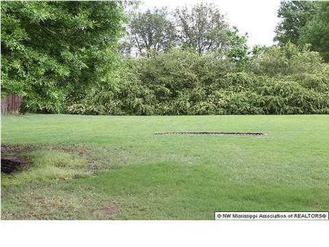 636 Fairway Dr, Hernando, MS 38632 photo 26