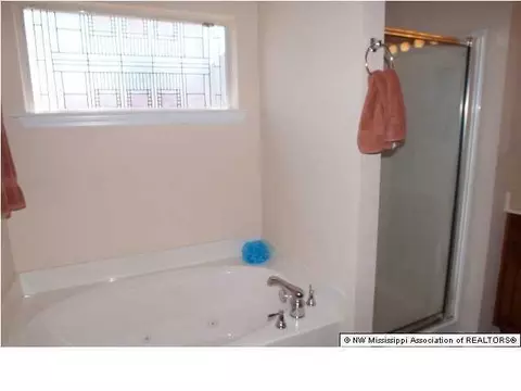 10460 Harmony Cv, Walls, MS 38680 photo 11
