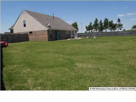 10460 Harmony Cv, Walls, MS 38680 photo 3