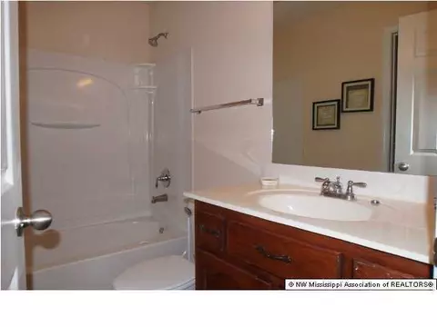 10460 Harmony Cv, Walls, MS 38680 photo 16