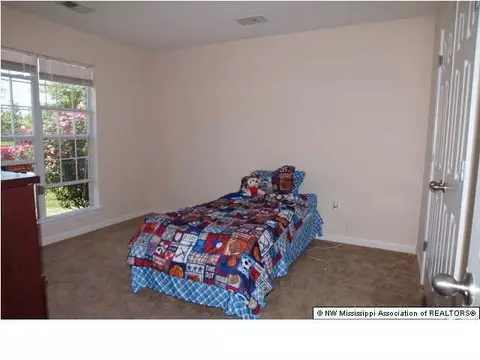 10460 Harmony Cv, Walls, MS 38680 photo 8