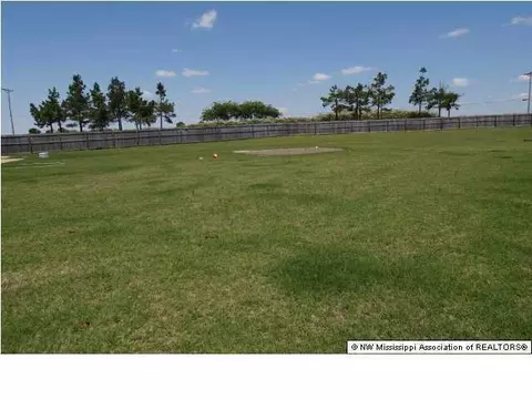 10460 Harmony Cv, Walls, MS 38680 photo 2