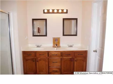 10460 Harmony Cv, Walls, MS 38680 photo 12