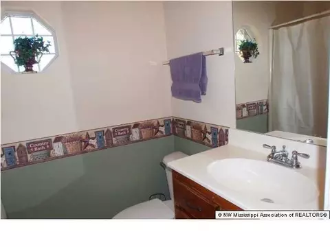 10460 Harmony Cv, Walls, MS 38680 photo 9