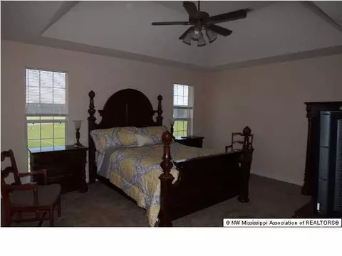 10460 Harmony Cv, Walls, MS 38680 photo 10