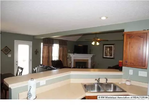 10460 Harmony Cv, Walls, MS 38680 photo 7