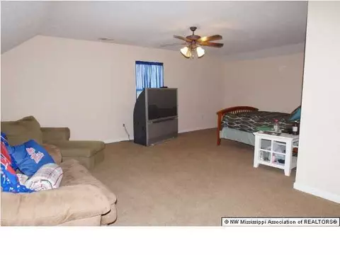 10460 Harmony Cv, Walls, MS 38680 photo 13