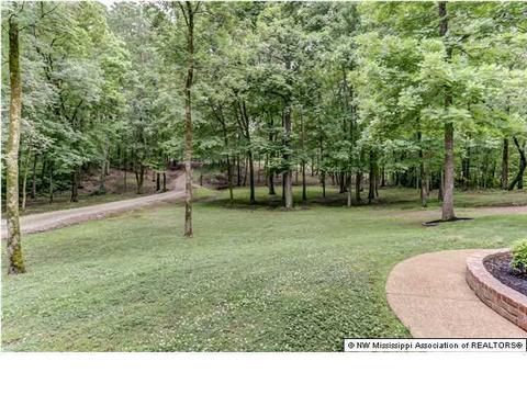 2386 Fogg, Nesbit, MS 38651 photo 2