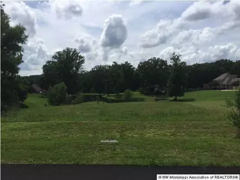 1889 Radley Rd, Nesbit, MS 38651 photo 2