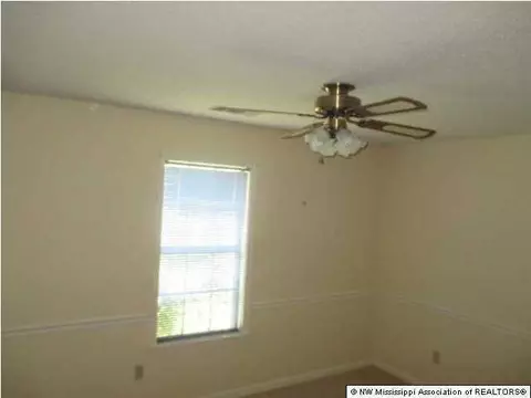 3398 Windermere Dr, Nesbit, MS 38651 photo 22