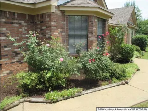 3398 Windermere Dr, Nesbit, MS 38651 photo 4