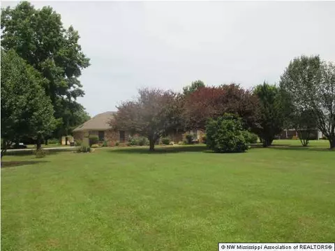 3398 Windermere Dr, Nesbit, MS 38651 photo 2