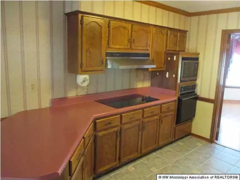 3398 Windermere Dr, Nesbit, MS 38651 photo 16
