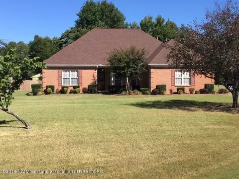 3396 Stone Meadow Cv, Nesbit, MS 38651 photo 1