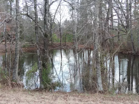 2358 Legends Dr, Nesbit, MS 38651 photo 20