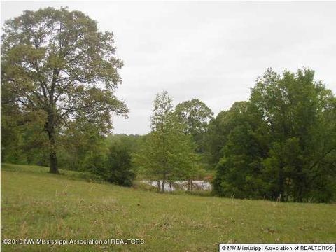 2529 Radar Crk, Sarah, MS 38665 photo 1