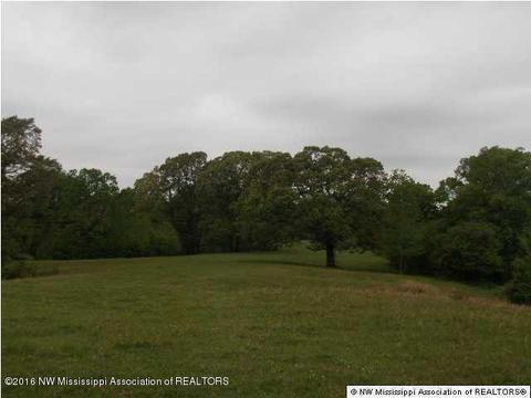 2529 Radar Crk, Sarah, MS 38665 photo 10