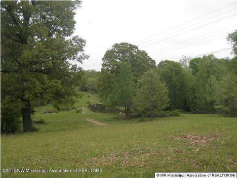 2529 Radar Crk, Sarah, MS 38665 photo 4