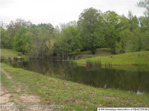 2529 Radar Crk, Sarah, MS 38665 photo 7