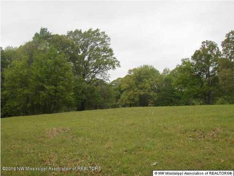 2529 Radar Crk, Sarah, MS 38665 photo 8