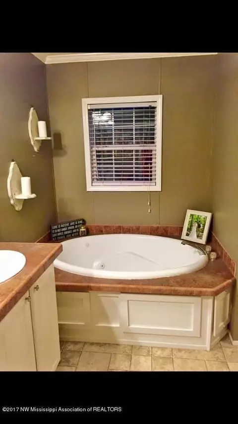 4502 Pleasant Grv, Como, MS 38619 photo 22