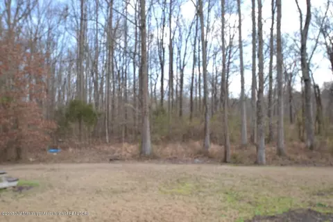 2172 Lesterfield Pl, Nesbit, MS 38651 photo 27