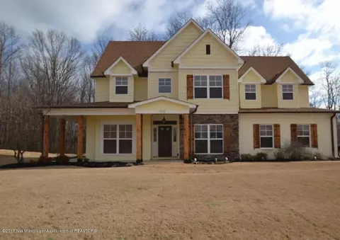 2172 Lesterfield Pl, Nesbit, MS 38651 photo 1