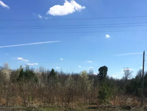 9911 Highway 304, Hernando, MS 38632 photo 1