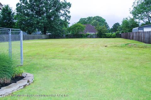 5533 Malone Rd, Olive Branch, MS 38654 photo 16