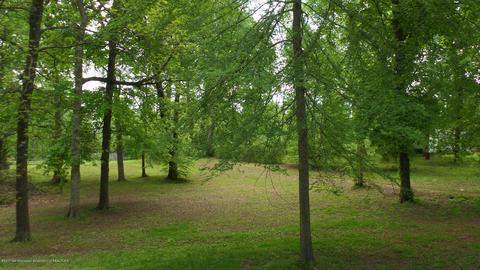 251 Cedar Crst, Coldwater, MS 38618 photo 15
