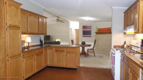 251 Cedar Crst, Coldwater, MS 38618 photo 5