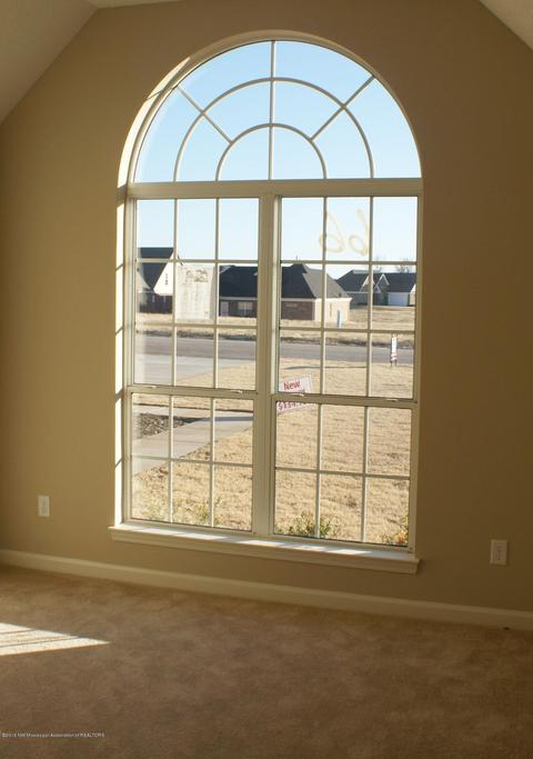 7734 Morningside Cv, Walls, MS 38680 photo 10