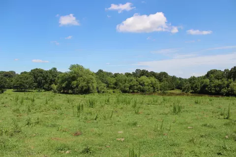 874 S Craft Rd, Hernando, MS 38632 photo 2