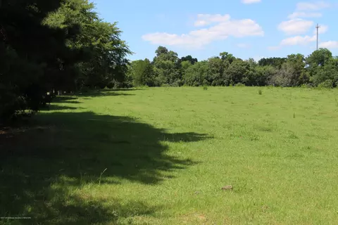 874 S Craft Rd, Hernando, MS 38632 photo 5
