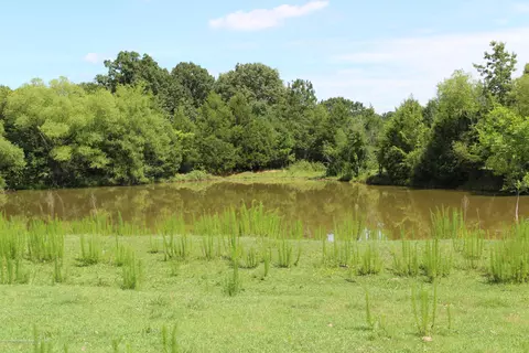 894 S Craft Rd, Hernando, MS 38632 photo 3