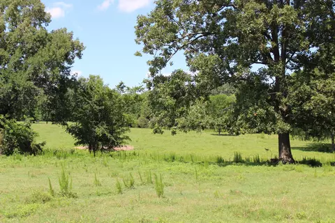 7328 Vaiden Rd, Hernando, MS 38632 photo 3
