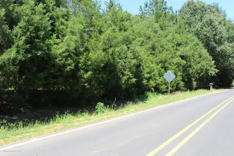 7328 Vaiden Rd, Hernando, MS 38632 photo 5