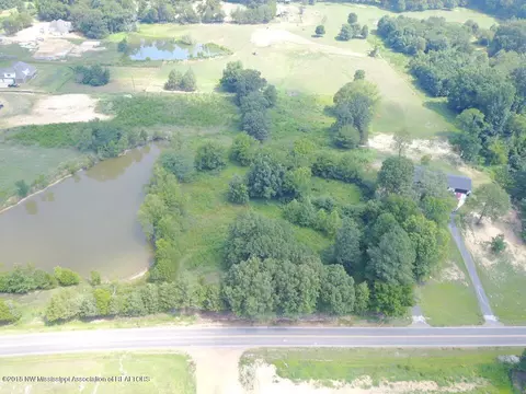 7328 Vaiden Rd, Hernando, MS 38632 photo 7