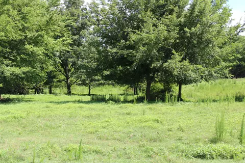 7328 Vaiden Rd, Hernando, MS 38632 photo 2