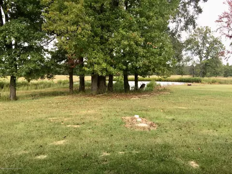697 Mcclyde, Como, MS 38619 photo 21