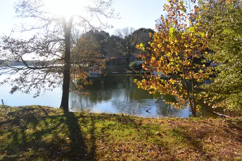 735 N Thunderbird, Hernando, MS 38632 photo 7