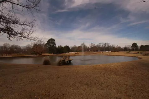 1735 Nesbit Rd, Nesbit, MS 38651 photo 10