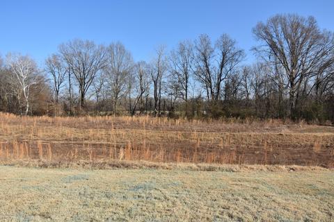 7126 Jercel Cv, Olive Branch, MS 38654 photo 4